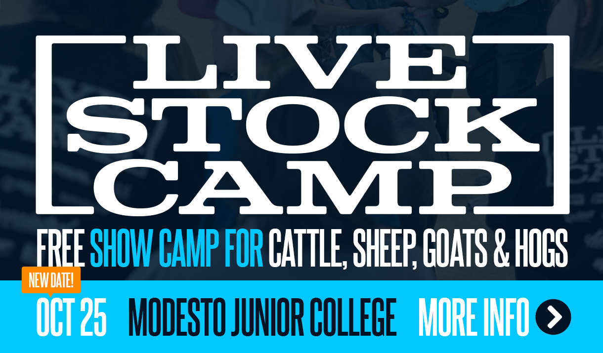 Sign up for Livestock Camp