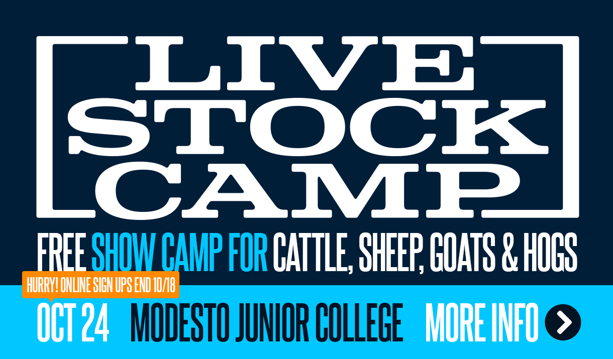 Sign up for Livestock Camp