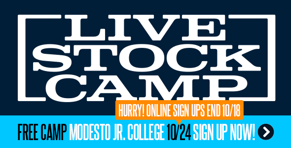 Sign up for Livestock Camp